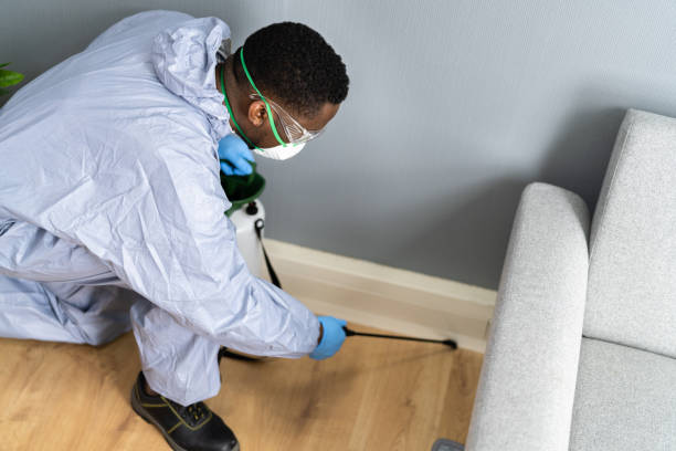 Best Fumigation Services  in Beverly Hills, FL